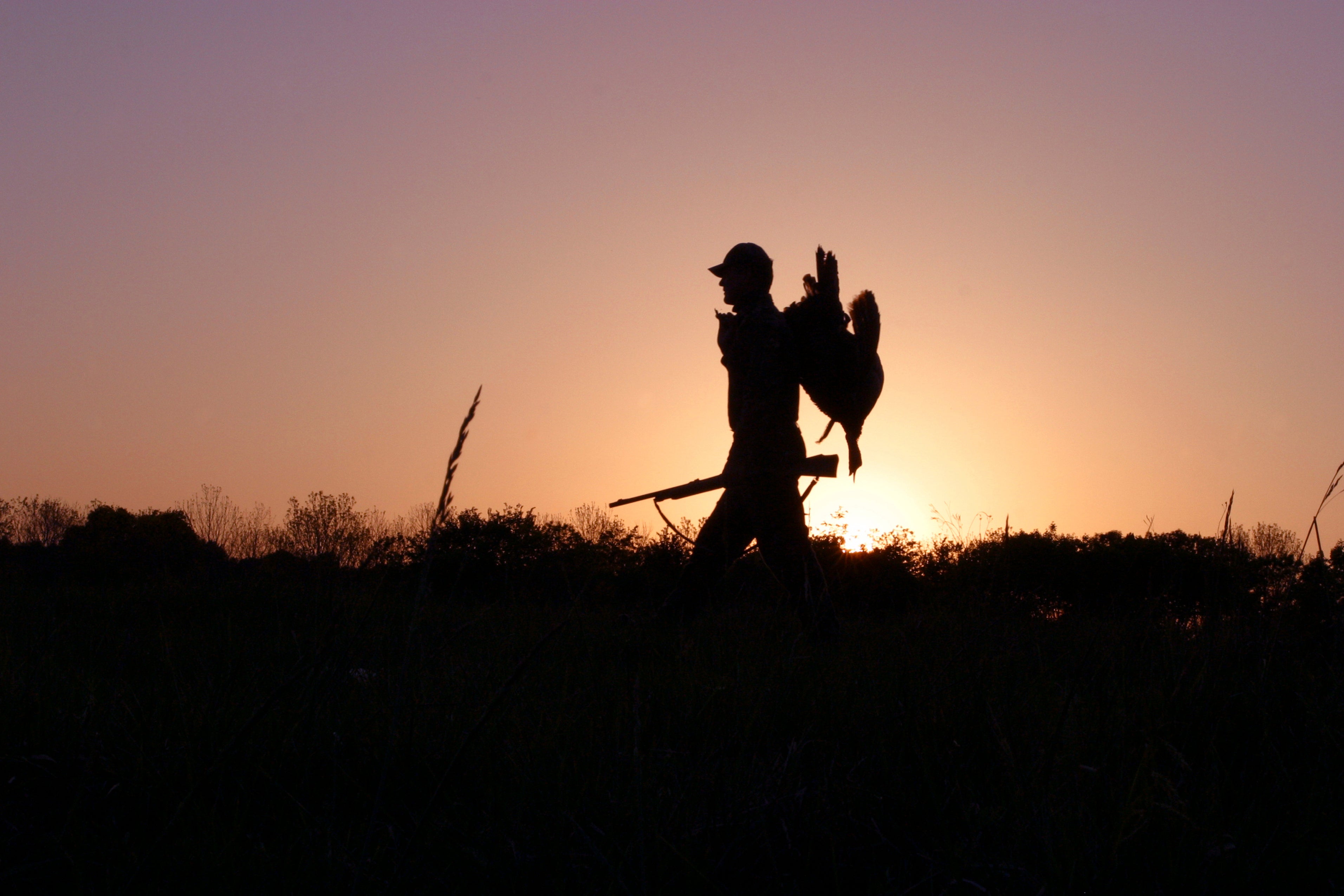 Turkey Hunting 101 Outdoor Alabama